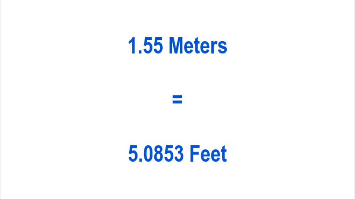 how-to-calculate-1-55-meters-to-feet