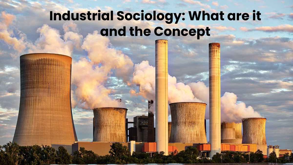 Industrial Sociology What Are It And The Concept